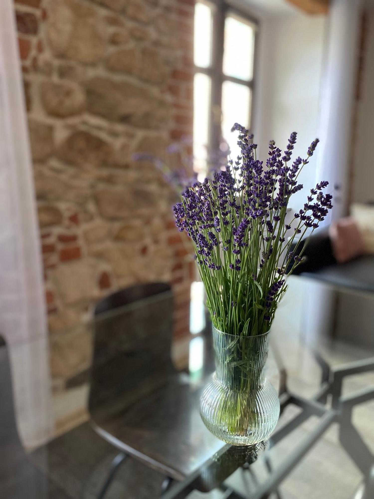 קלודז'קו Apartament Przy Ratuszu מראה חיצוני תמונה